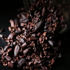 Cacao Beans2